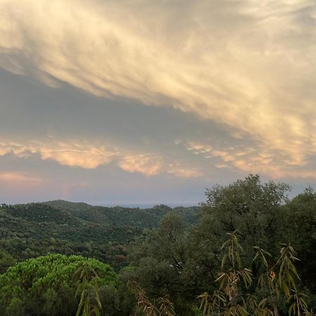 Villa Casa Con Vista Y Jardin, A 20' De La Playa à Sant Cebrià de Vallalta Extérieur photo