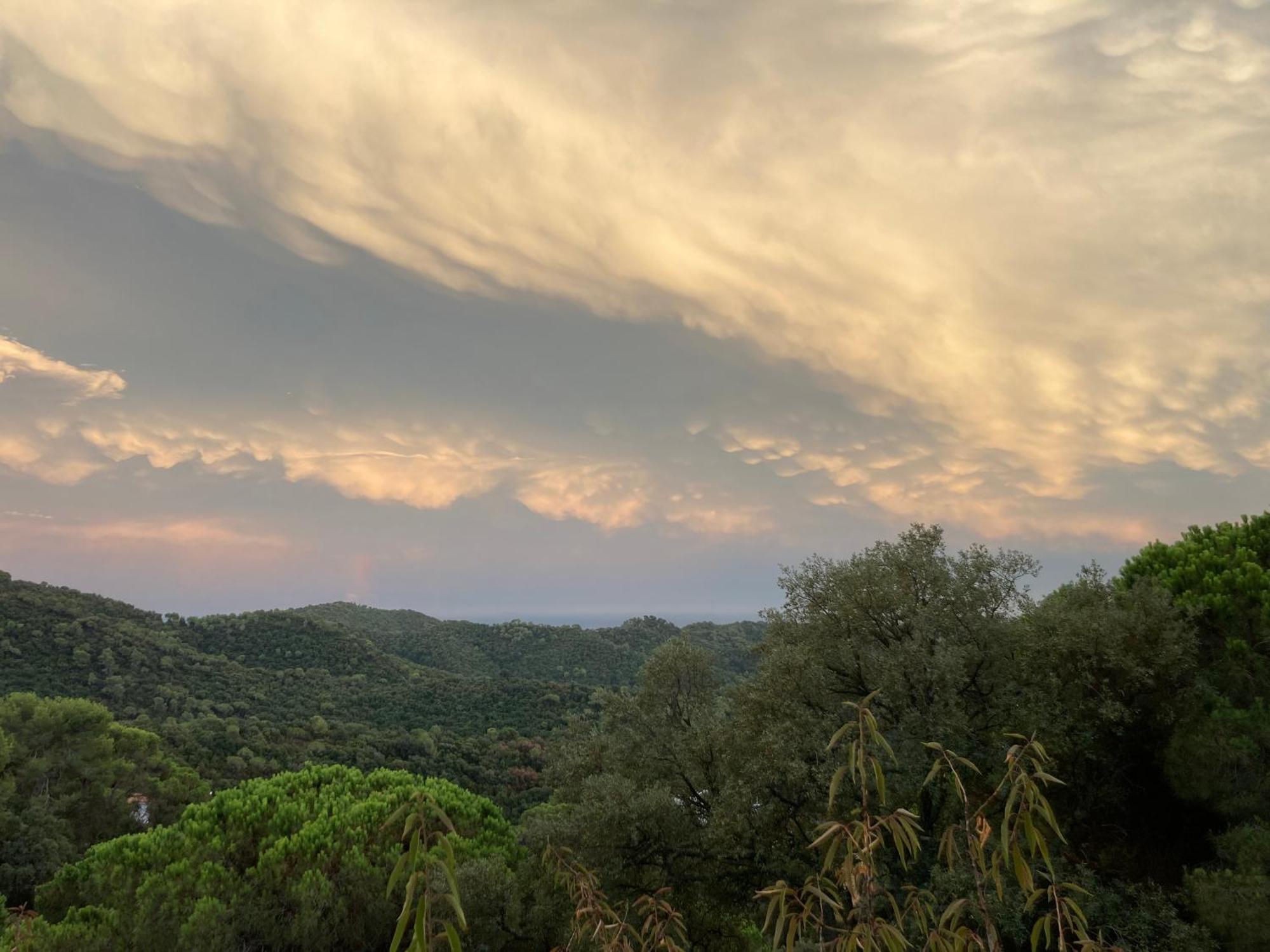 Villa Casa Con Vista Y Jardin, A 20' De La Playa à Sant Cebrià de Vallalta Extérieur photo