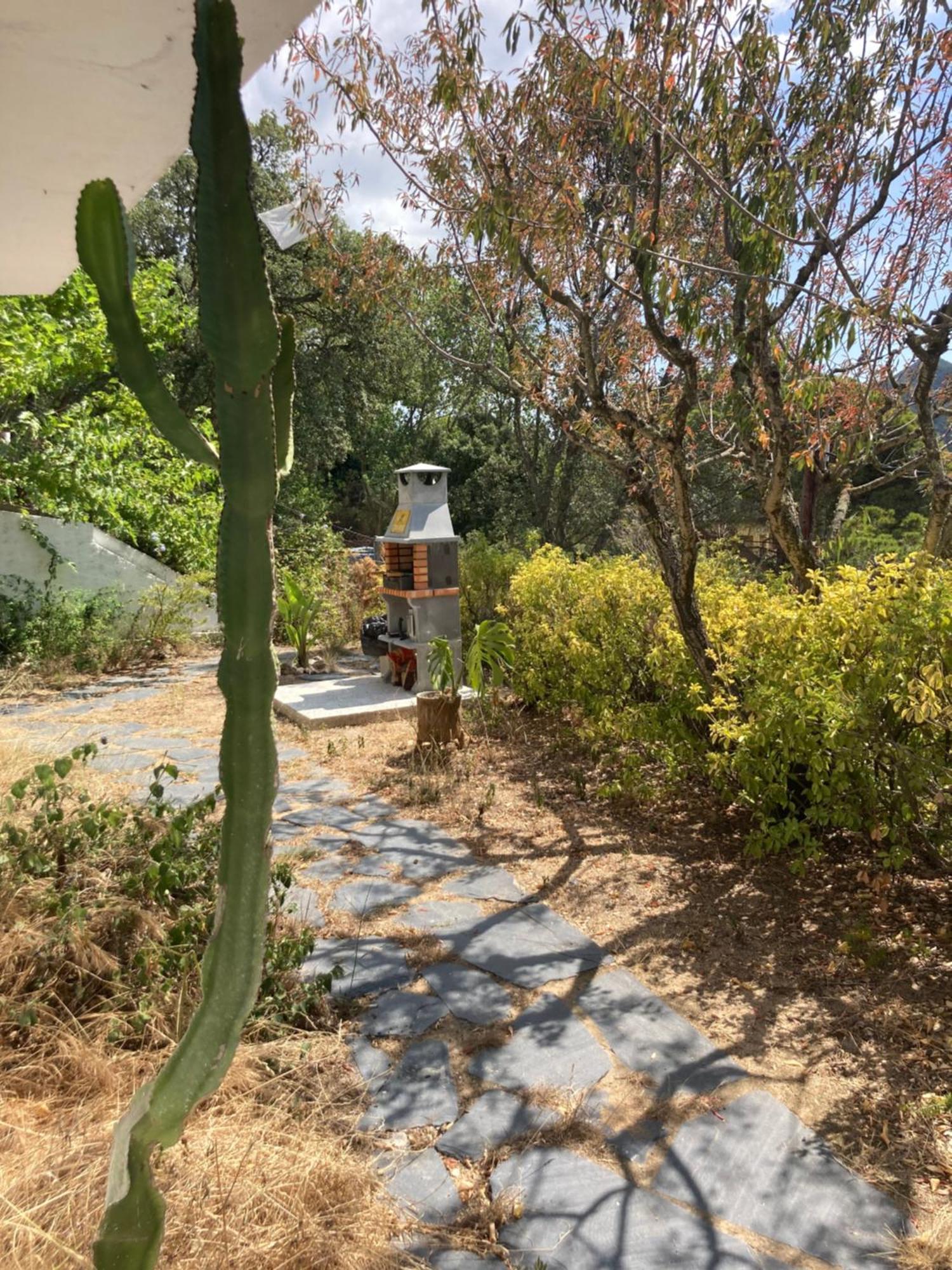 Villa Casa Con Vista Y Jardin, A 20' De La Playa à Sant Cebrià de Vallalta Extérieur photo